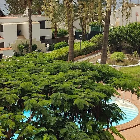 Sunrise Apartamento
